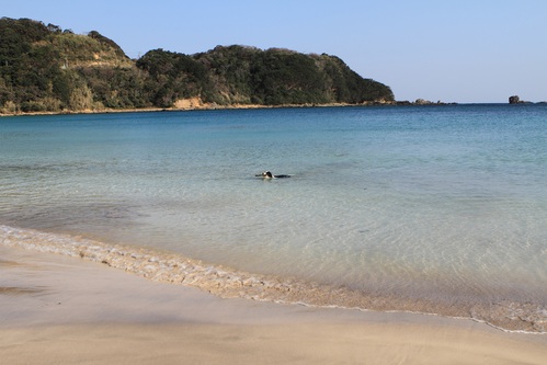 f0034602_20112741.jpg