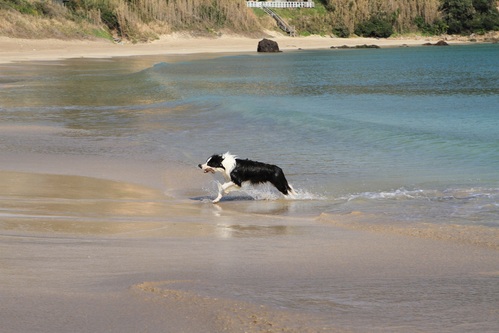 f0034602_2011362.jpg