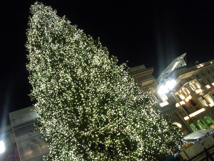 b0246303_1505183.jpg