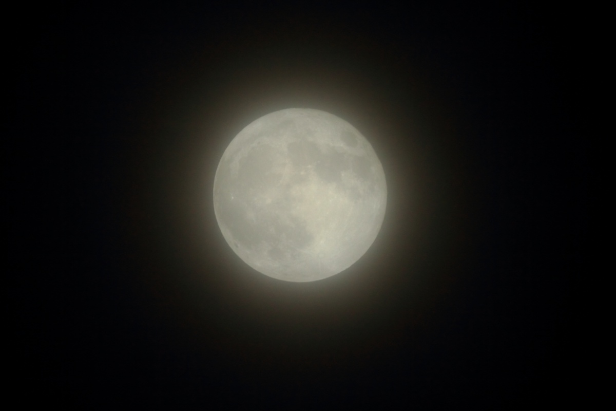 a0155104_22524417.jpg