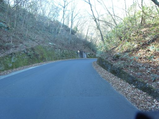a0071805_1659661.jpg
