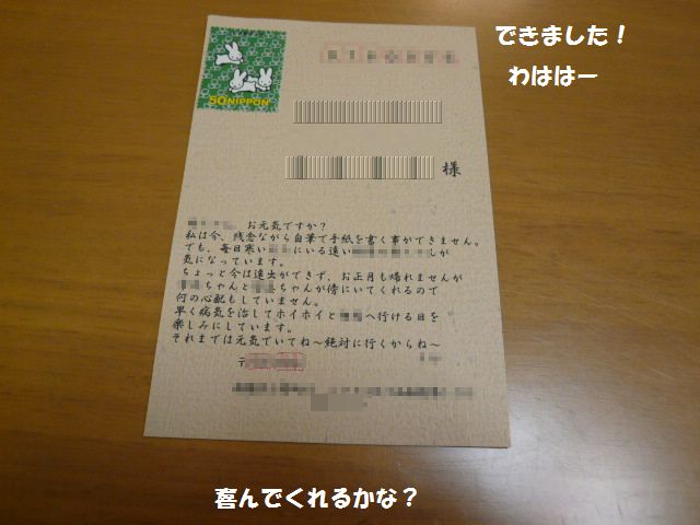 e0094407_09790.jpg