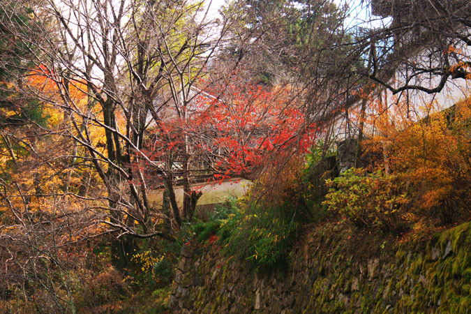 a0263109_1311156.jpg