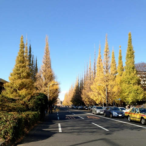 a0146011_10271928.jpg