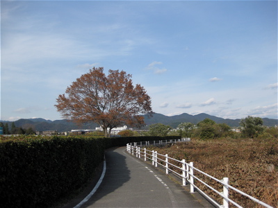 嵐山_a0164011_07184.jpg