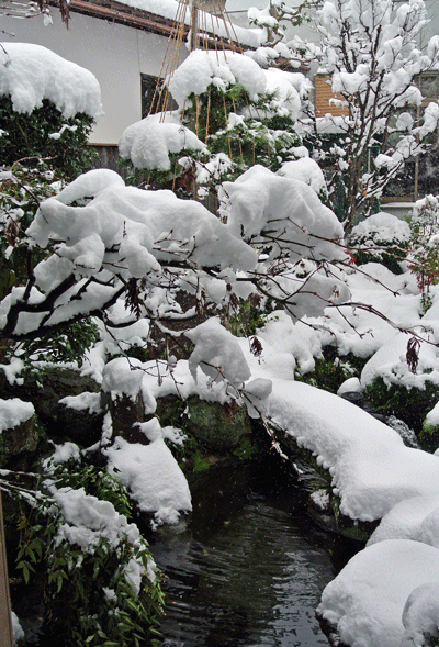 雪が降りました。(-_-)_e0020214_23255726.gif