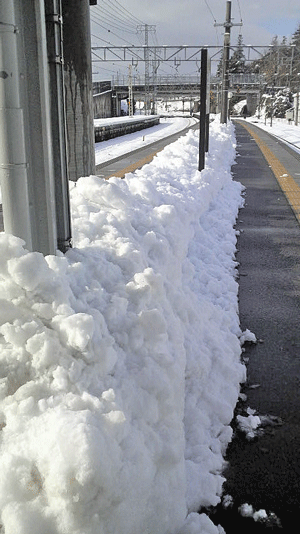 e0020214_23275299.gif