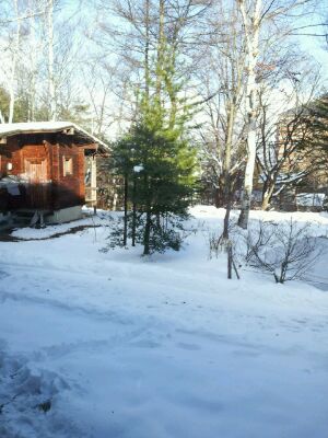 雪の中で!!!_d0049817_1182244.jpg