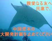 a0043520_15345662.jpg