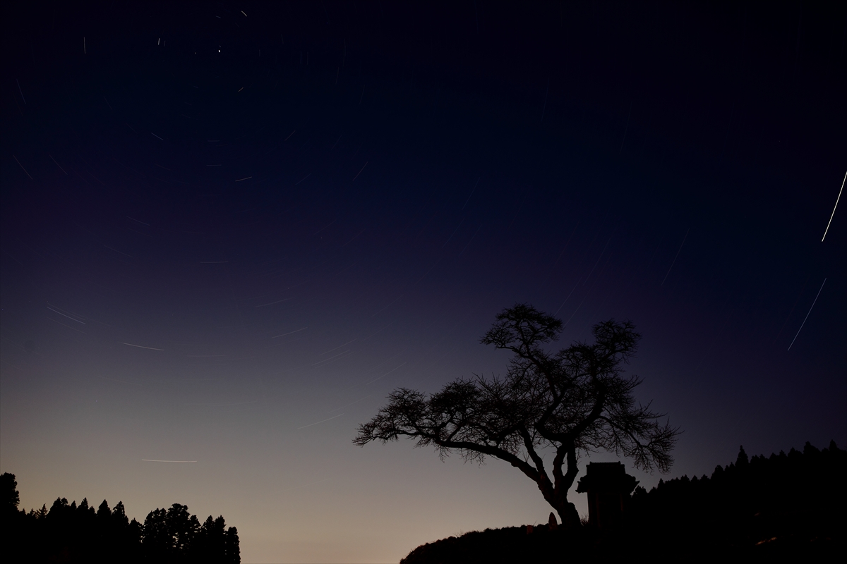 福島県の桜の銘木　「初冬の夜の風景」_d0106628_18372974.jpg