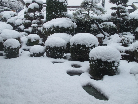 雪!_c0077531_23281993.jpg