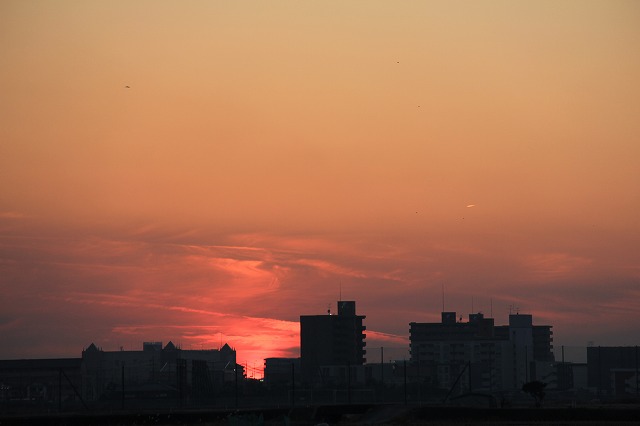 a0045932_2162596.jpg