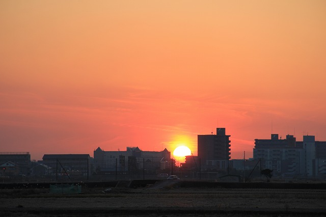 a0045932_216714.jpg