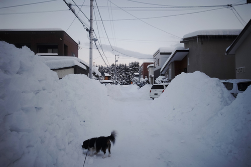 c0051132_2013674.jpg