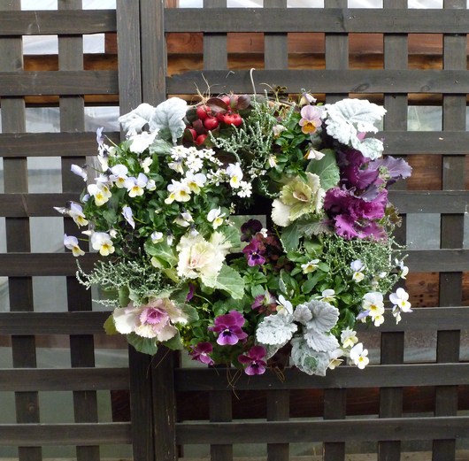 リースの花の変化_a0228333_233246.jpg