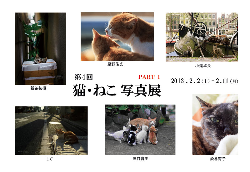 第4回猫・ねこ写真展_c0194541_14325483.jpg