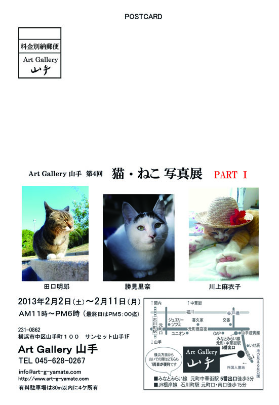 第4回猫・ねこ写真展_c0194541_14394547.jpg
