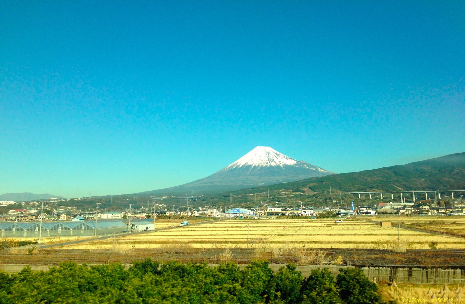 今日の昼飯 2012.12.13_a0030748_2159838.jpg