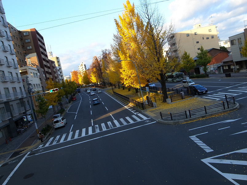 f0152550_2112132.jpg