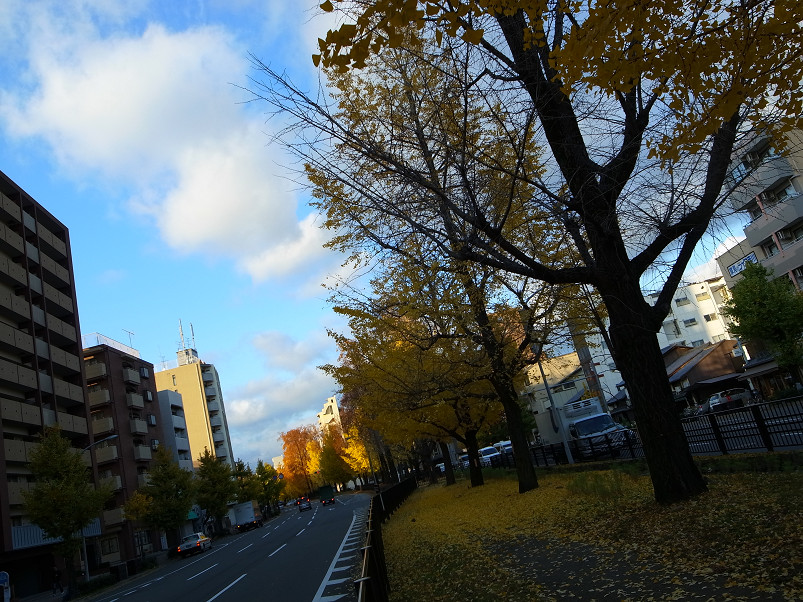 f0152550_21132018.jpg