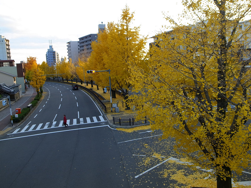 f0152550_21151627.jpg