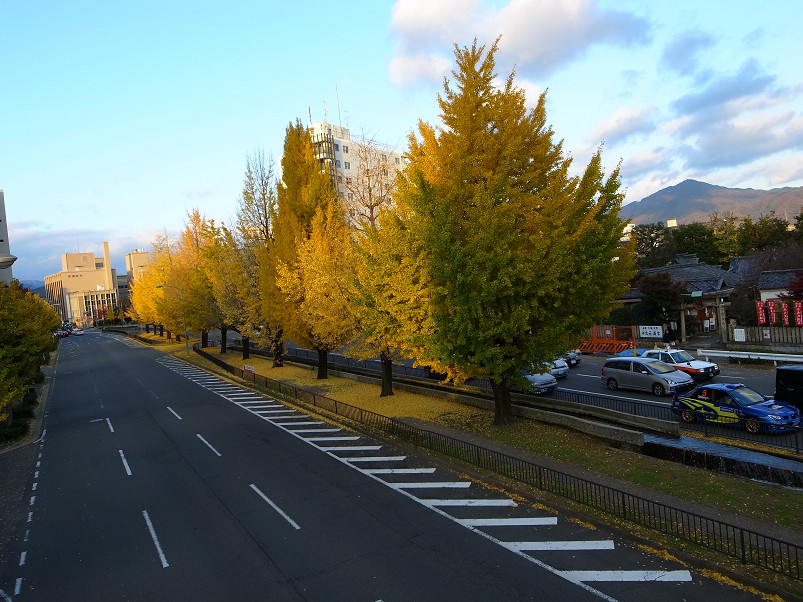 f0152550_2115340.jpg