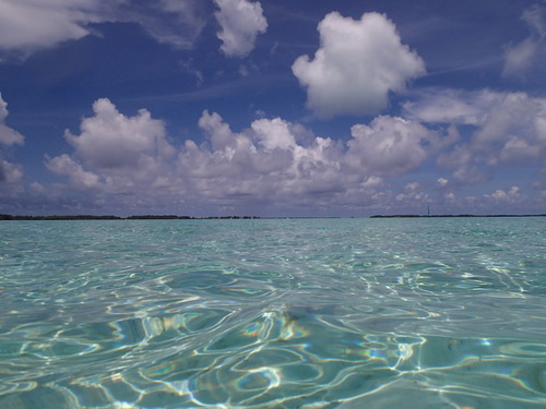 e0051651_1324159.jpg