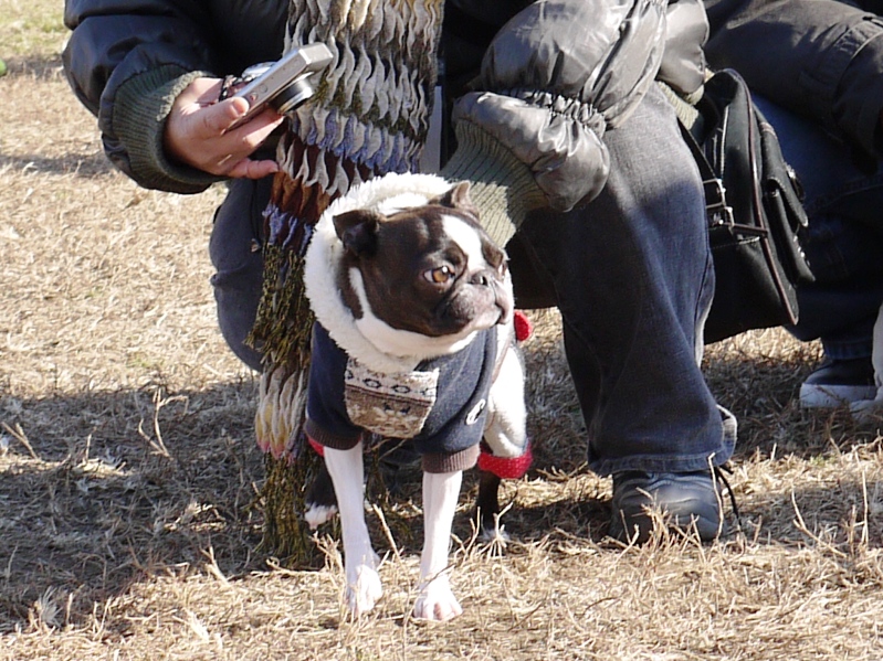 小雪舞う、真冬の播ボスオフ会・２０１２（１）_d0155952_17453831.jpg