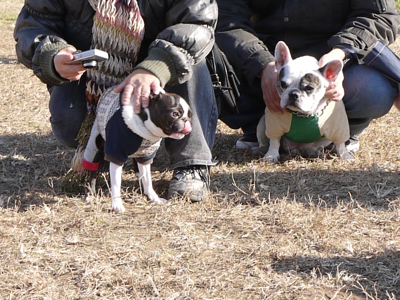 小雪舞う、真冬の播ボスオフ会・２０１２（１）_d0155952_17502385.jpg