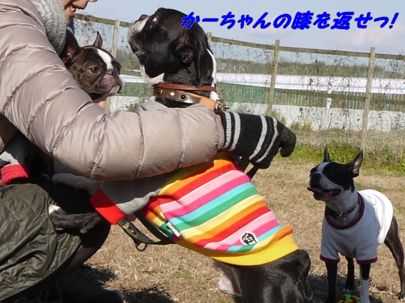 小雪舞う、真冬の播ボスオフ会・２０１２（１）_d0155952_1814580.jpg