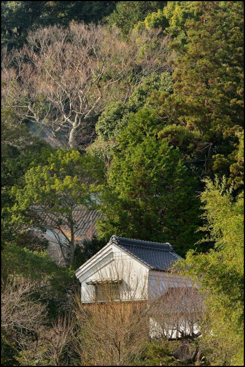 葛城一言主神社の周辺_a0278953_744439.jpg