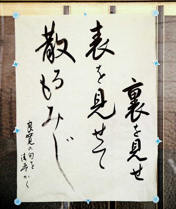　　和歌山便り_b0093754_2302097.jpg