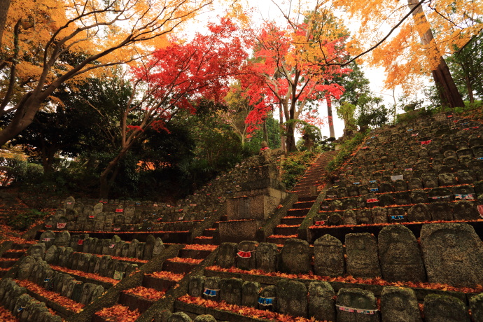 九品寺 (宮城県大和町)