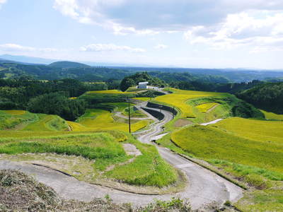 菊池水源棚田米 もち米も美味い!!_a0254656_194241100.jpg