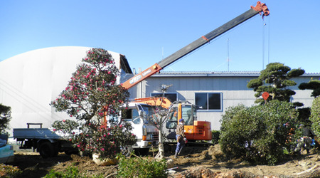 f0054859_2034030.jpg