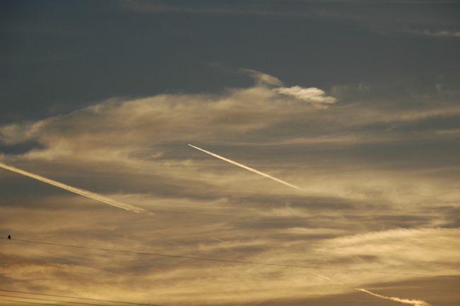 a0169060_3593279.jpg