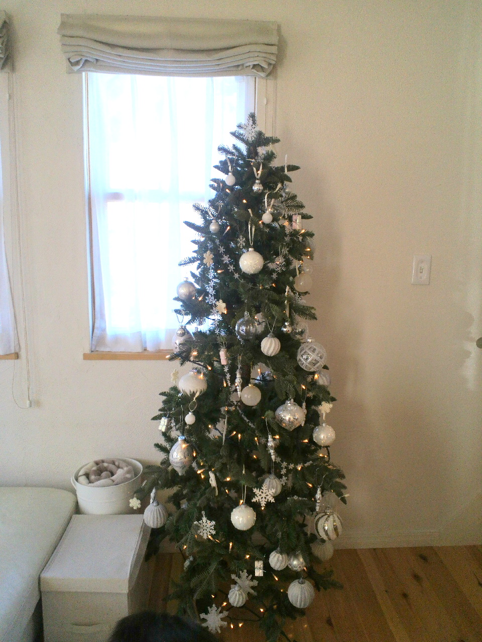 a0164362_15554767.jpg
