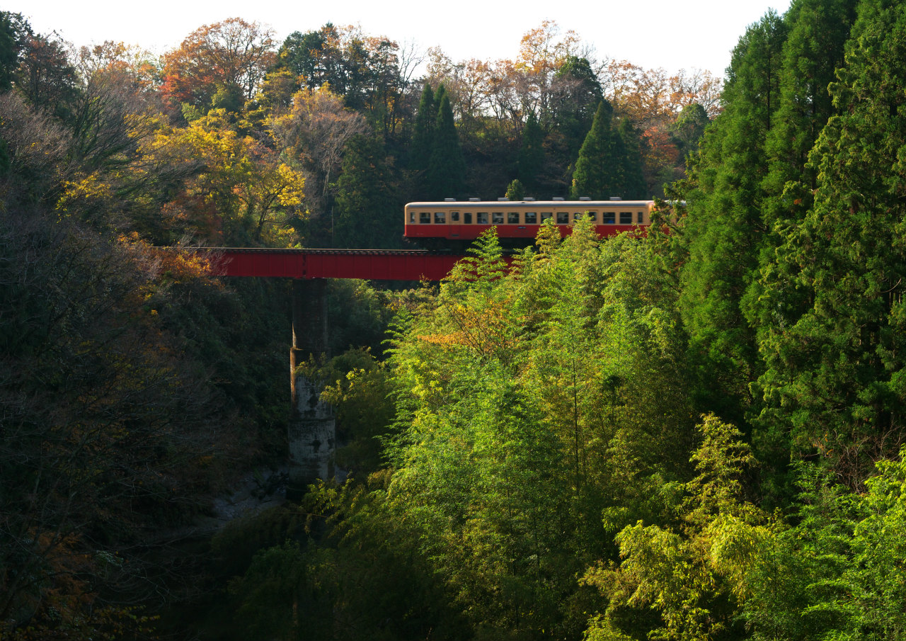 房総の遅い秋　１　～晩秋の小湊鉄道～_f0018464_1956252.jpg