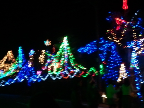 c0212669_15401834.jpg
