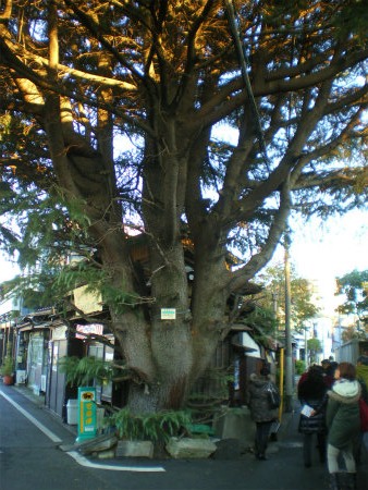 滝野川探検隊 ｉｎ 谷中　その１_b0056570_23373726.jpg