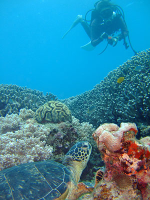 b0033573_205146.jpg