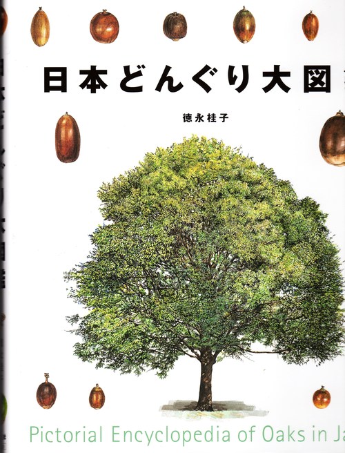 お勧め本、3冊。_b0135573_22545845.jpg