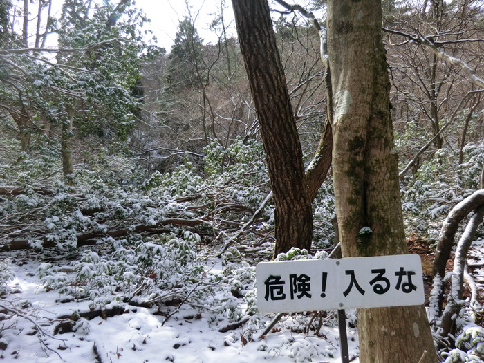 b0185573_13474885.jpg