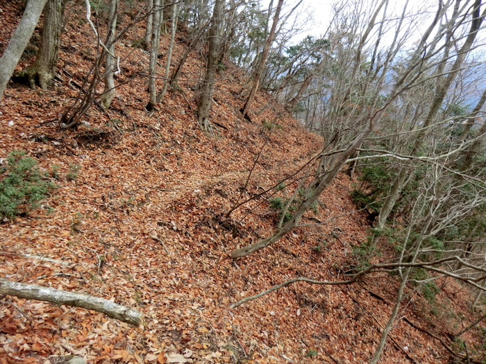 b0185573_14462736.jpg