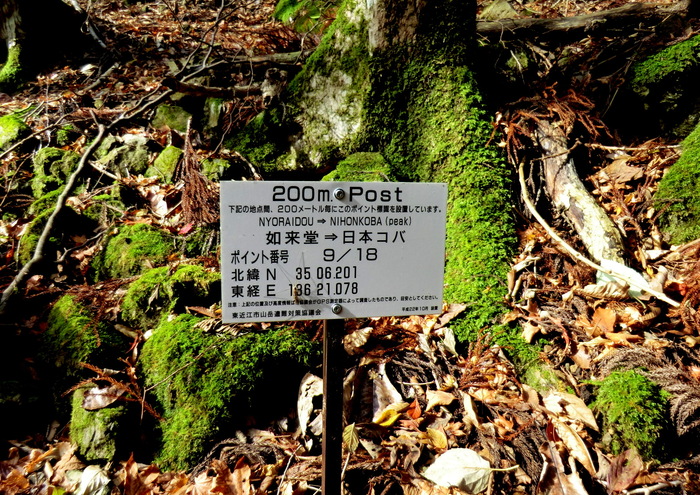 b0185573_9302415.jpg