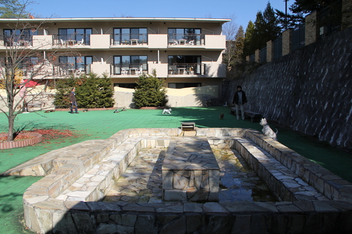 e0245080_33124.jpg