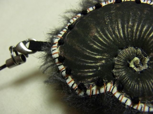 b0195383_1593051.jpg