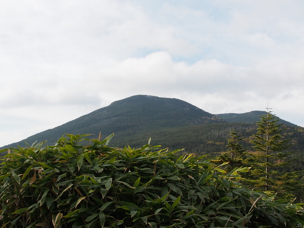 秋の北八ヶ岳紀行 （9）　　麦草峠まで_e0195587_21585822.jpg