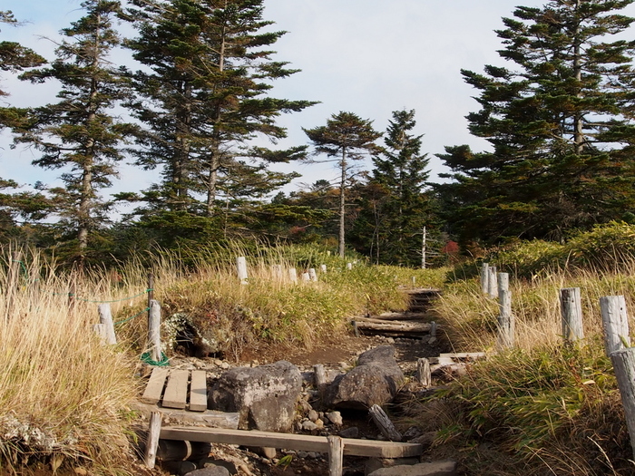 秋の北八ヶ岳紀行 （9）　　麦草峠まで_e0195587_2221440.jpg