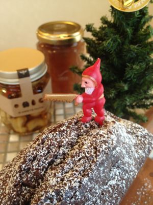 クリスマスプレゼント_a0134394_14195854.jpg